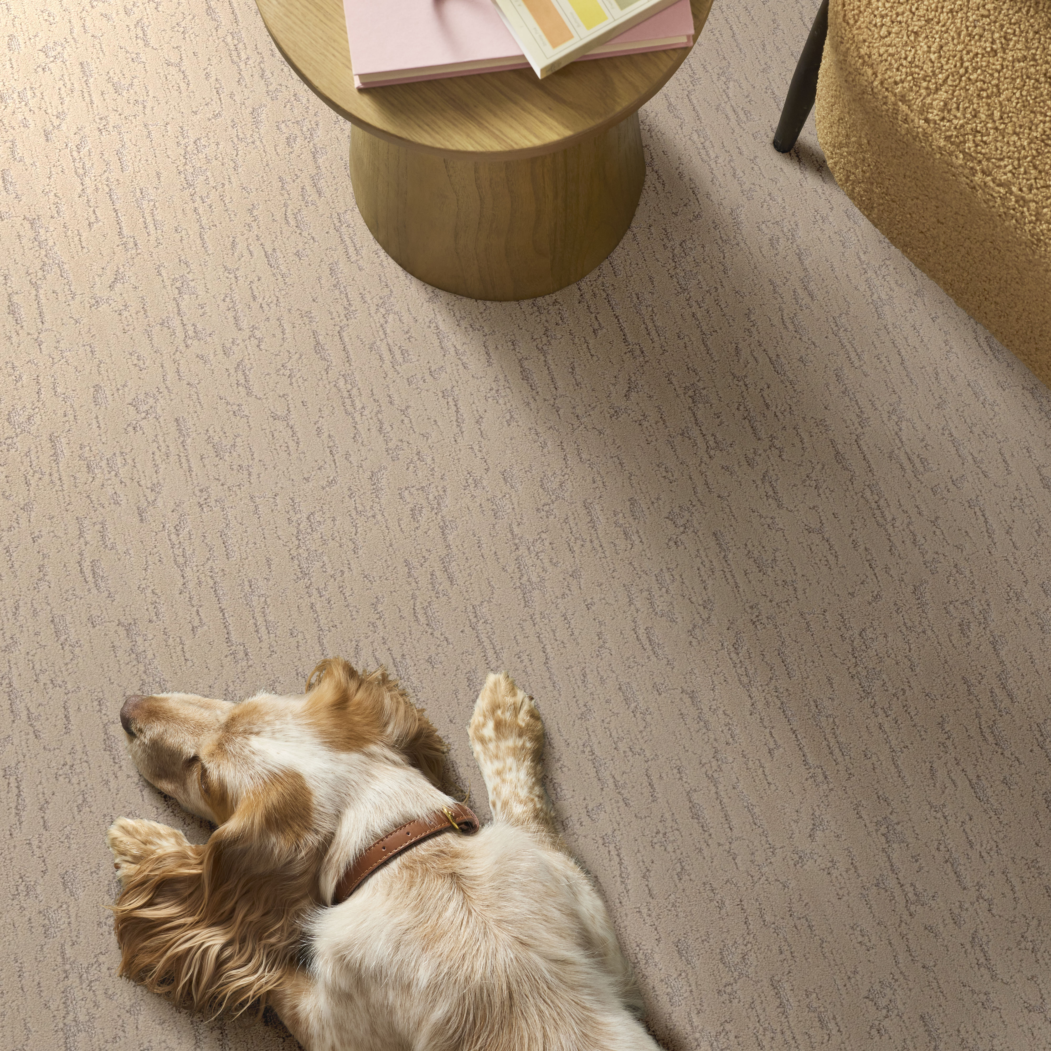 Calm Expression - Cashew Carpet | Shaw Floors